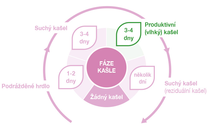 Fáze kašle a účinné složky sirupu Bronchostop®
